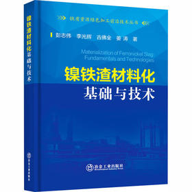 镍铁渣材料化基础与技术
