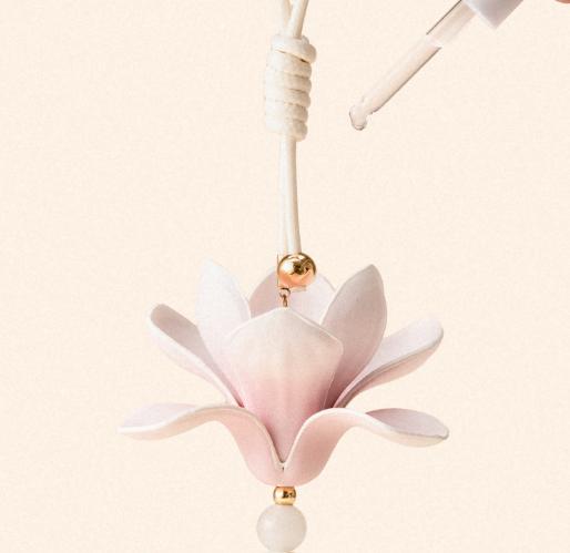 呈白 皮花香挂车载香薰系列 商品图0