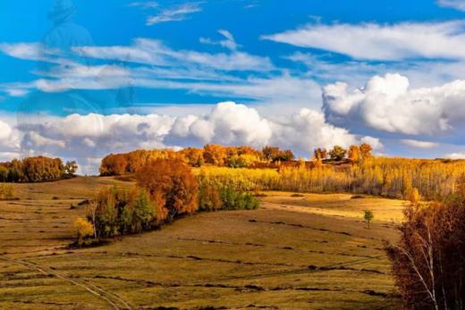 「金秋牧歌、童话秘境」-坠入内蒙草原的鎏金之梦! 商品图2