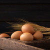 乌镇乌村土鸡蛋农家散养新鲜营养健康绿色食品鸡蛋礼盒 商品缩略图5