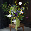 《花开富贵》瓶插花款式随机可备注色系 商品缩略图11