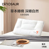 恐龙 5号草本分区调节枕-40×65cm 商品缩略图0