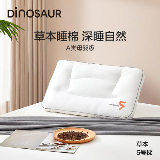 恐龙 5号草本分区调节枕-40×65cm 商品图0