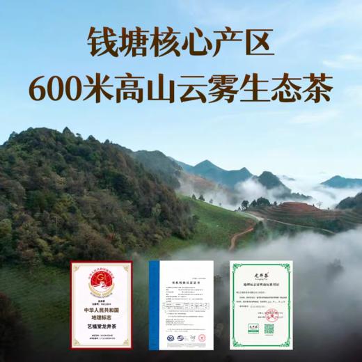 【品牌直发】艺福堂 臻品龙韵 龙井茶礼盒 3g*40袋/盒 特级 商品图5