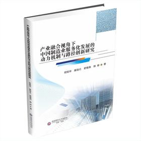 产业融合视角下中国制造业服务化发展的动力机制与路径创新研究