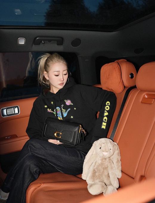 【介绍链接】COACH蔻驰8851CH外星恐龙连帽衫、8828CH经典标志连帽衫、8819Ch马车连帽衫、8816CH爱心刺绣连帽卫衣等卫衣外套合集 商品图2