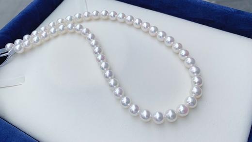 8-8.5mm akoya珍珠项链 商品图1