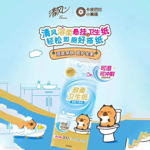 清风牌卫生纸300抽 商品图0