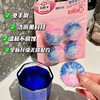 葆俪莱马桶厕所清洁剂卫生间除臭厕灵除垢留香异味清香泡泡家用效期 商品缩略图2