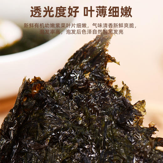 韩味多 霞岛有机幼嫩紫菜 甄选美味 味道鲜美 口感细嫩 手工采摘 鲜味十足 商品图2