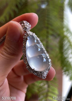 5310708，福豆吊坠。具体价格微信咨询