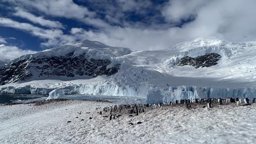氧气旅行团—2025“我要去南极”11月27日预付款（五星庞洛邮轮） 商品图4
