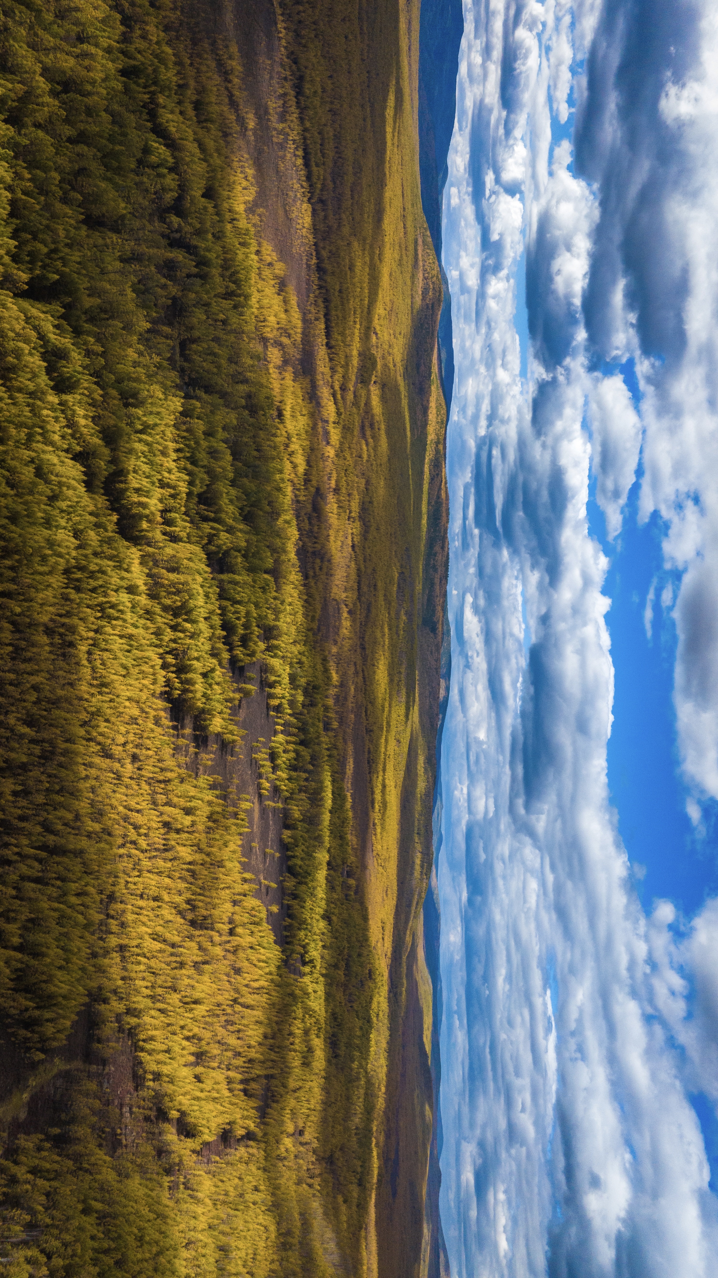 秋色中国-大兴安岭的秋天