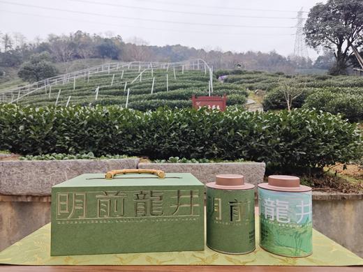 灵隐月下茶礼盒 商品图4