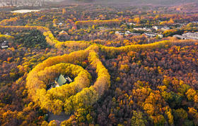 ★新品上线★¥599起/晚，入住南京5A级钟山风景区内【南京泊金花间境·琵琶山居】，宿紫金房享早餐+正餐1顿，免费花间小日子活动！紧邻超多景点，独享琵琶湖公园！有效期至2026年3月30日