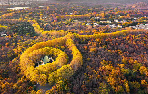 ★新品上线★¥599起/晚，入住南京5A级钟山风景区内【南京泊金花间境·琵琶山居】，宿紫金房享早餐+正餐1顿，免费花间小日子活动！紧邻超多景点，独享琵琶湖公园！有效期至2026年3月30日 商品图0