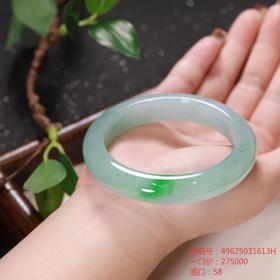 高货青绿色翡翠手镯 传家宝温润圆满中式翡翠手镯49625031613H（一口价）