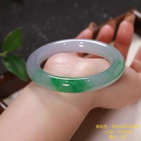 高货青绿色翡翠手镯 传家宝温润圆满中式翡翠手镯49625031606H（一口价）