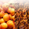 几分之几 英吉沙杏干 100g*2 商品缩略图2