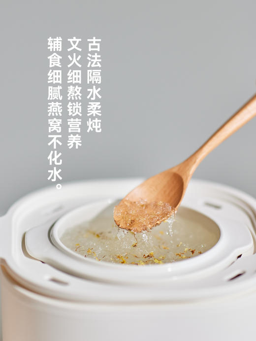 【出口迷你电炖锅】olayks立时电炖锅燕窝小炖盅隔水炖家用煲汤宝宝煮粥锅婴儿辅食锅 商品图1