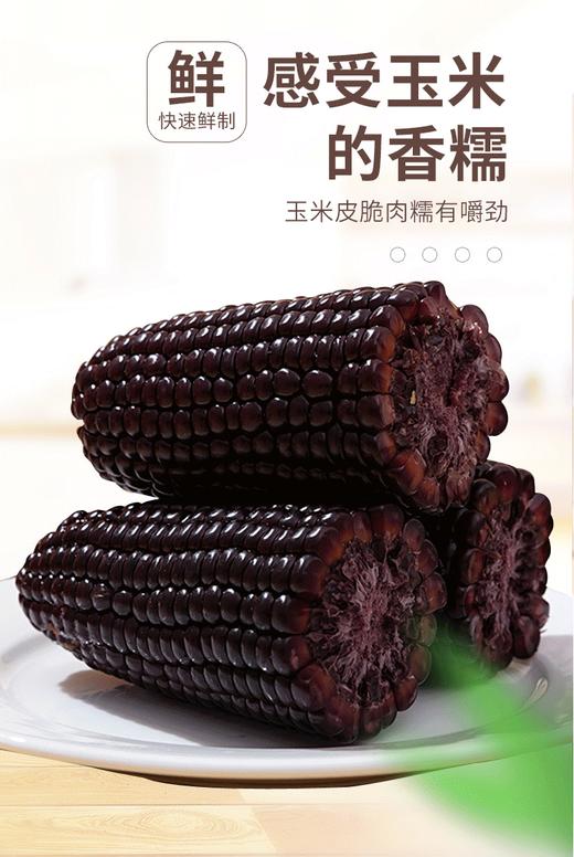 香糯/黑玉米/盒装/10根 商品图1