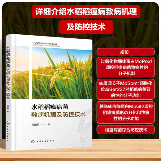 水稻稻瘟病菌致病机理及防控技术 商品图0