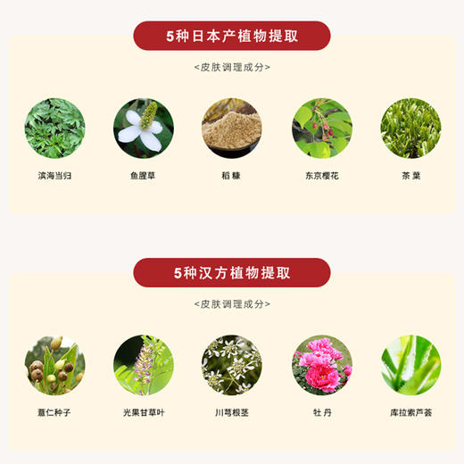 KohGenDo 江原道 定妆美肤粉饼 5g 商品图2