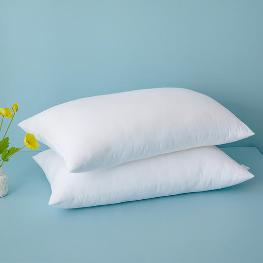 博洋家纺（BEYOND 安眠对枕 商品图1