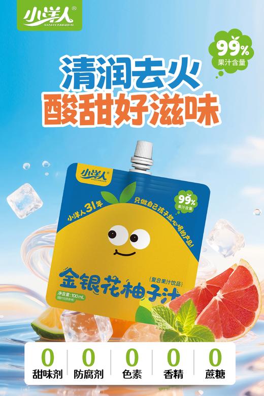 金银花柚子汁 100ml*（12+1）袋 商品图1