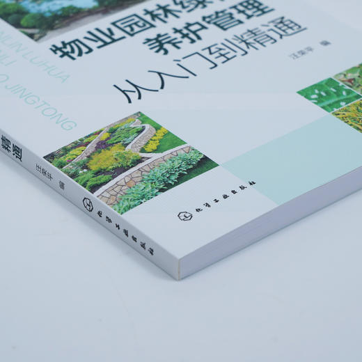 物业园林绿化养护管理从入门到精通 商品图2