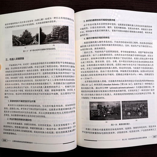 主要常绿果树优质轻简栽培技术 商品图3