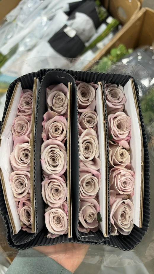 谊颖曼塔 商品图1