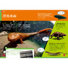 《了不起的生物》（全10册） 商品缩略图12