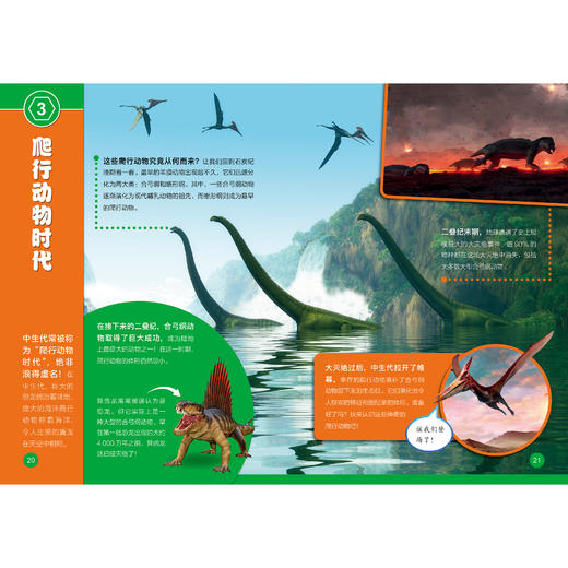 《了不起的生物》（全10册） 商品图13