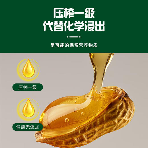 海天压榨一级花生油5L水滴壶 商品图7