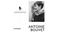  香槟界的黑马！Antoine Bouvet凭什么在国内卖疯了？