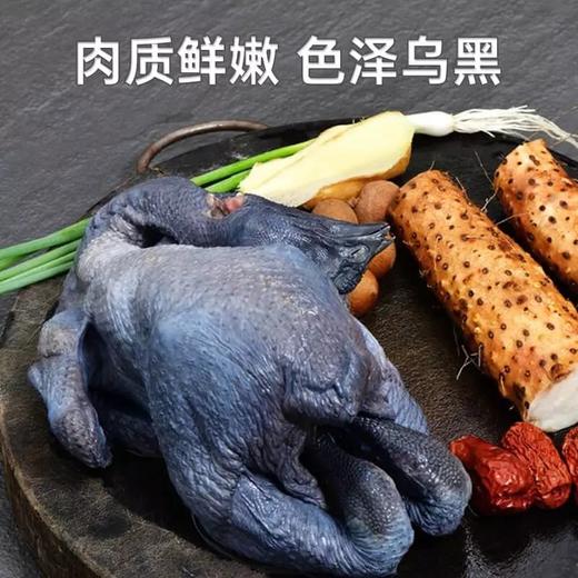 【顺丰包邮】【后院团购99元到手3只】农家散养无抗无激素白凤乌鸡 ，净膛宰杀 肉质细滑醇香 皮黑油润 炖汤首选 基地直邮东 商品图2