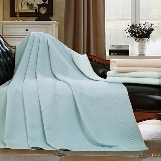 鑫缘 针织提花盖被 BTA1820 商品图0