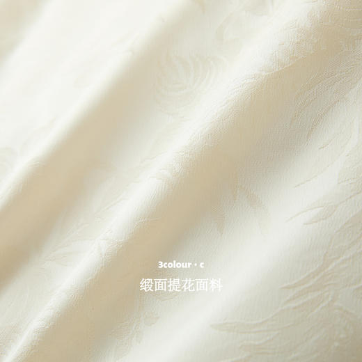 三彩【映月捣素】2025冬季新款90白鹅绒羽绒服宽松短款外套C 商品图3