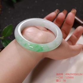 高货青绿色翡翠手镯 传家宝温润圆满中式翡翠手镯49625031612H（一口价）