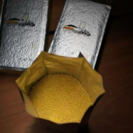 石家庄优选仓库速达，山东潍坊-马庄小米，色泽均匀，饱满圆润，干净无杂原色原香，6斤礼盒装（500g**6袋） 商品图9