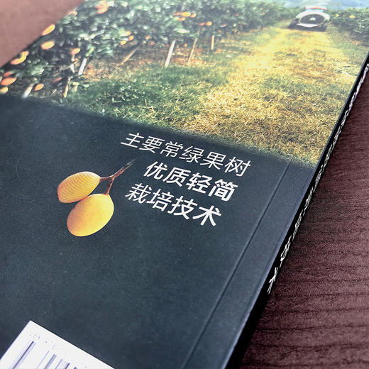 主要常绿果树优质轻简栽培技术 商品图2