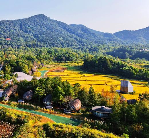 【江西新余】树蛙部落寒假早鸟直降特惠套餐3天2晚 森林冬宴 商品图5