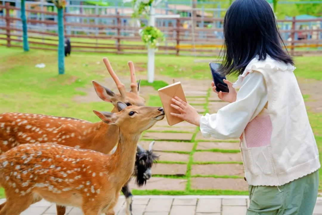 【黄龙溪欢乐田园】双人138元、五一可用~人均低至69元❗提前2小时购买~100+游乐项目无限畅玩，30+萌宠0距离互动！全家畅玩就在黄龙溪欢乐田园！！