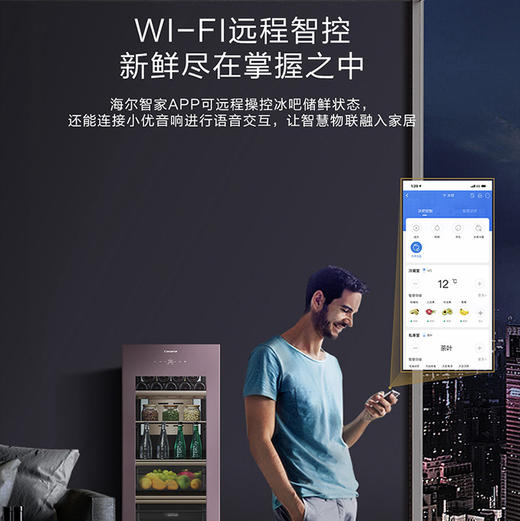 卡萨帝（Casarte）冰吧 LC-172WLC78A1U1 商品图11