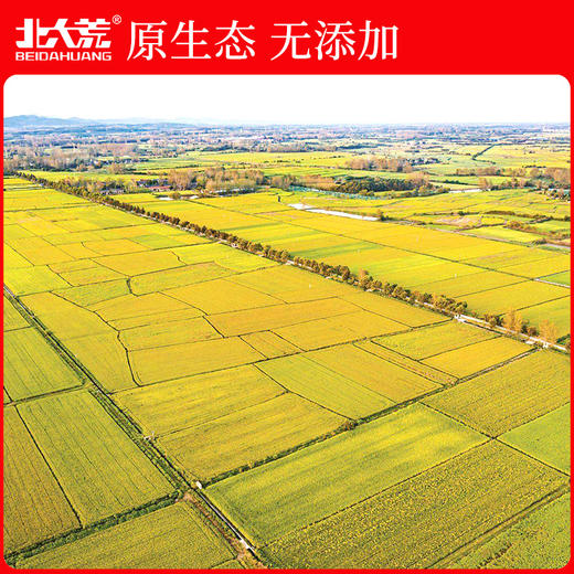 北大荒东北长粒香5kg—rxs 商品图1