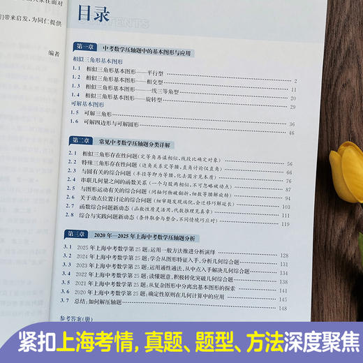沪上优学华理社图解中考数学压轴题（第二版）（上海专版） 初中数学专项训练学习资料必刷题2025年新版 官方正版 商品图1