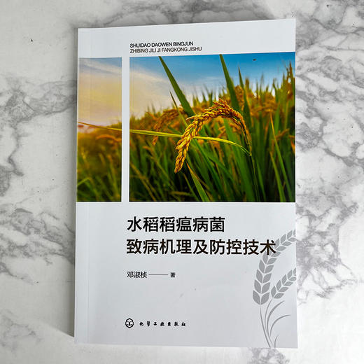 水稻稻瘟病菌致病机理及防控技术 商品图1