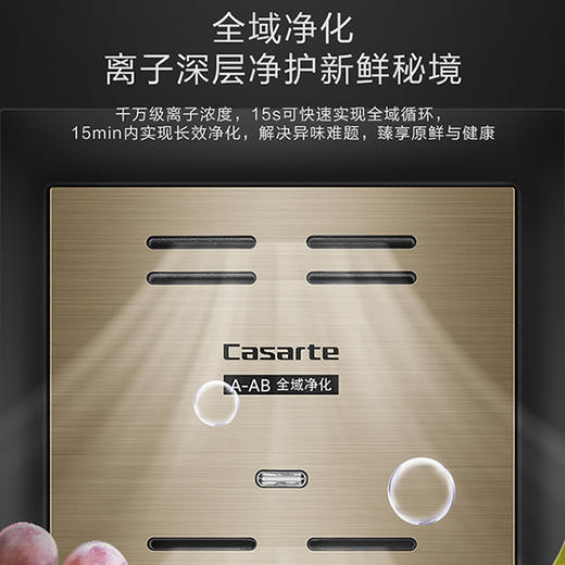 卡萨帝（Casarte）冰吧 LC-172WLC78A1U1 商品图5