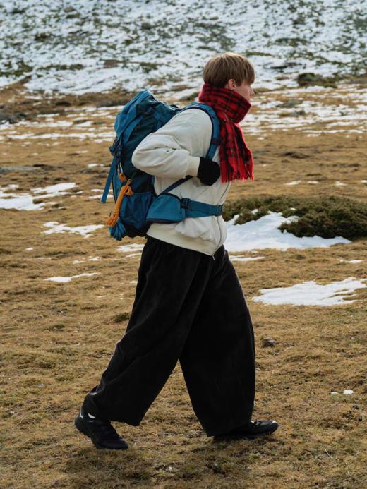 Evistub/E-4DCK950/进口重磅粗坑口袋工装裤 商品图1